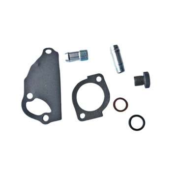 Zestaw uszczelek pompy wody Yanmar JDM Microcar Chatenet