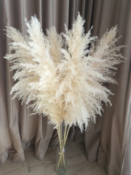 Сушеная пампасная трава премиум-класса для вазы высотой 140 см.