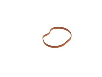 ELRING 025.260 TĚSNĚNÍ KOLEKTOR NASÁVÁCÍ