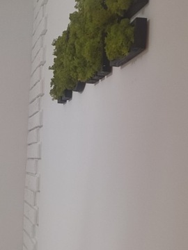 HOME надпись из мха moss MOSS