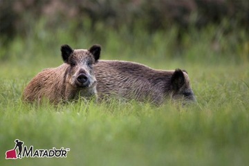 БОЛЬШОЙ НАБОР ЭЛЕКТРАЙЗЕРОВ СЕТЕВОЙ ЭЛЕКТРИЗАТОР ДЛЯ КРС, КАБАН 10J