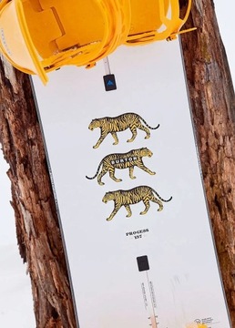 Сноуборд Burton Process Wide - без цвета