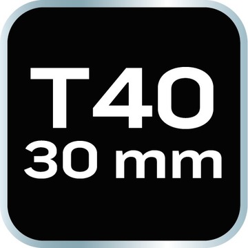 Биты TORX T40 x 30 мм, S2 x 2 шт.