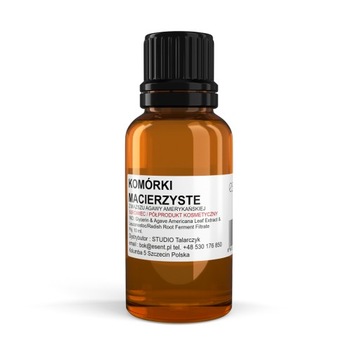 Komórki macierzyste z agawy amerykańskiej 10 ml