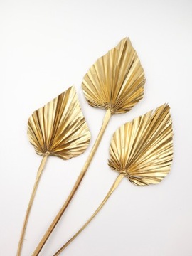 Пальмовый лист, золотистый цвет, сушки для торта, экзотические сухофрукты.