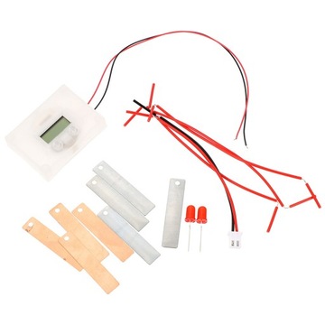 2 SETS SCIENTIFIC EXPERIMENT FRUIT BATTERY