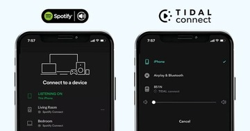 Elipson WM Multiroom Mini Hi-RES СЕТЕВОЙ ПОТОКОВЫЙ ПЛЕЕР