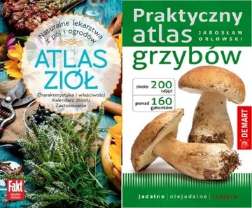 ZESTAW ATLASÓW GRZYBÓW I ZIÓŁ