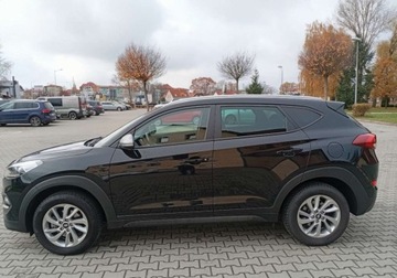 Hyundai Tucson III SUV 1.6 GDI 132KM 2017 Hyundai Tucson Zarejestrowany - serwisowany - bezwypadkowy - 1,6 - 132 KM, zdjęcie 10