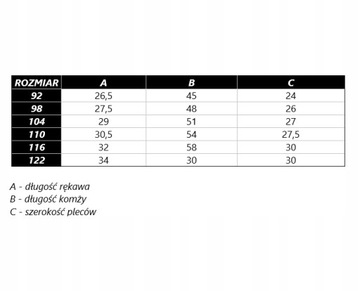 КОРПУС РОЖДЕСТВЕНСКИЕ ЦЕРКВИ, размер. 98