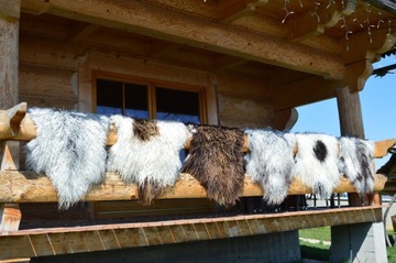 Вьющиеся волосы на острове овчины разных цветов