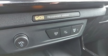 Ford Puma II Crossover E-Gen Elektryczny 43kWh 168KM 2025 Ford Puma Ford Puma Gen-E Premium 168 KM Elektryczny 168KM, zdjęcie 18