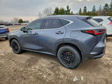 Lexus NX II 2024 Lexus NX 2024 LEXUS NX 350H BASE 2.5 Hybryda 240KM, zdjęcie 1