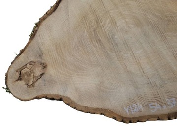 Срез ясеня 54х37см, разные размеры, дерево
