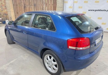 Audi A3 8P Hatchback 3d 1.6 102KM 2007 Audi A3 1.6 Mpi 102KM Piekna Sprawdz, zdjęcie 17