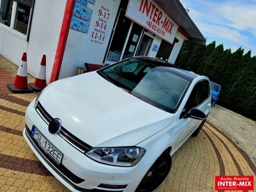 Volkswagen Golf VII Hatchback 3d 1.6 TDI-CR DPF 105KM 2013 Volkswagen Golf Hatchback zarejestrowany niski przebieg nawigacja 1.6 105KM, zdjęcie 4