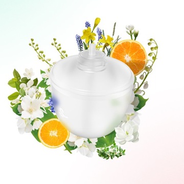 PERFUMY DO DOMU SIMPLEWAY do dyfuzora zapachów odświeżacz powietrza