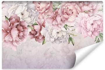 Fototapeta KWIATY Piwonie Peonie Rośliny 300x210