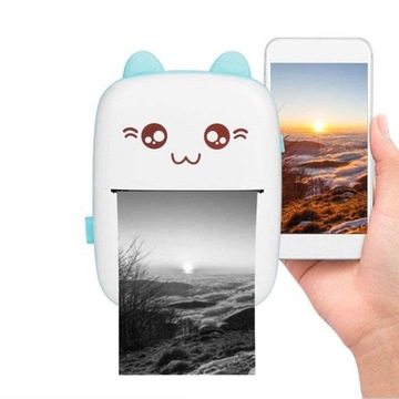 МИНИ-ТЕРМОПРИНТЕР DRUKUŚ CAT + 11 РОЛИКОВ