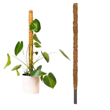 PODPORA PALIK KOKOSOWY 100CM (1M) TYCZKA DO MONSTERY KWIATÓW ROŚLIN 1szt.