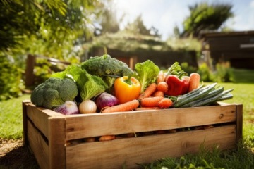 Грунт для посева семян и стегания с кокосовым волокном 50 л eGarden