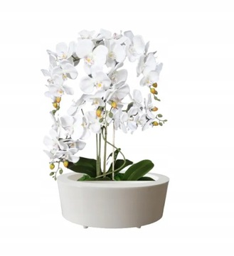 ОВАЛЬНАЯ БЕЛАЯ ГЛЯНЦЕВАЯ КРЫШКА ДЛЯ ЦВЕТОЧНОГО ГАЗВА