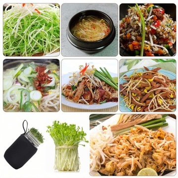 Банка для проращивания Банка для проращивания семян, ростков