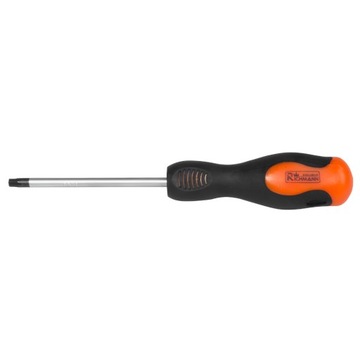 WKRĘTAK ANTYPOŚLIZGOWY MAGNETYCZNY TORX T10 x 100 MM CR-MO RICHMANN C5465