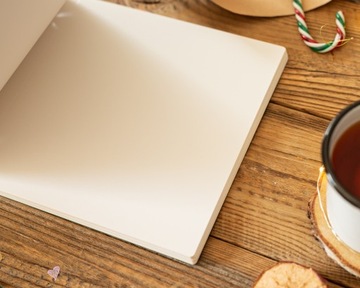 Фотоальбом РОЖДЕСТВЕНСКИЙ олень наклеенный 13х18 фото 10х15