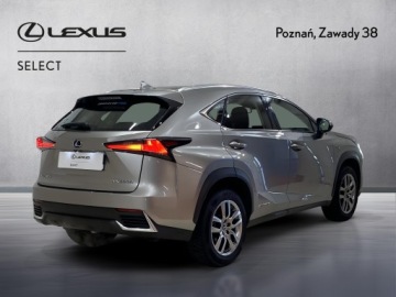 Lexus NX I SUV Facelifting 300h 197KM 2020 Lexus NX 300h Business Edition AWD I (2014-2021) L, zdjęcie 1