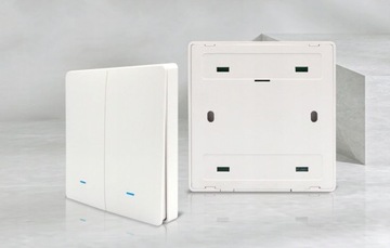 Пульт накладной, 2 канала, 6 программ, EM ZigBee серии TUYA