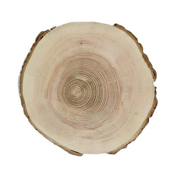 Кусочек дерева