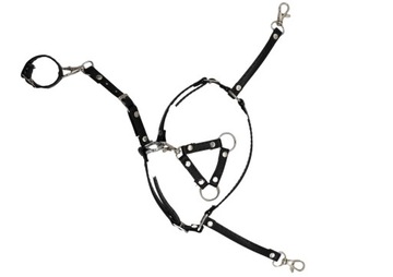 Кираса для лошади-любителя - разные цвета