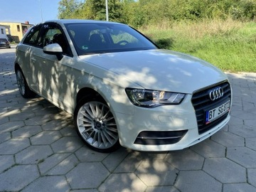 Audi A3 8P Hatchback 3d 1.6 TDI 105KM 2012 Audi A3 Opłacony Klimatronic Ksenon 1.6 TDI 105