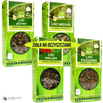 ЧАЙ БЕРЕЗОВЫЙ, ОРГАНИЧЕСКИЙ, 50 г - DARY NATURY