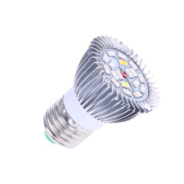 LAMPA LED DO SZKLARNI DOMOWEJ NA ŻYWO