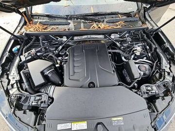 Audi Q5 III 2025 Audi Q5 Premium Plus TFSI 2025 2.0l 2.0 Benzyna 268KM, zdjęcie 6