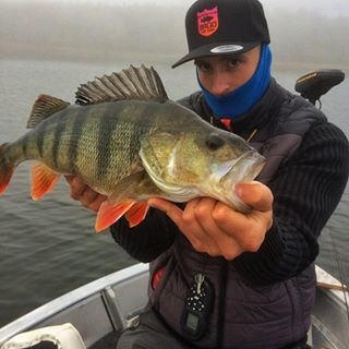 Блесна-блесна Mepps AGLIA MICRO №3