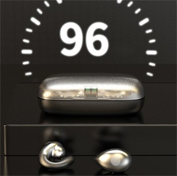 Проводящие наушники New Bone.