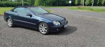 Mercedes CLK W209 Cabrio A209 1.8 (200 Kompressor) 163KM 2003 Mercedes CLK 200 Super stan, automat., zdjęcie 13