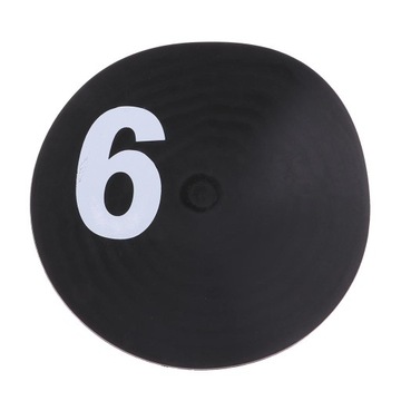 10 тренировочных дисков спортсмена со спортивным знаком.