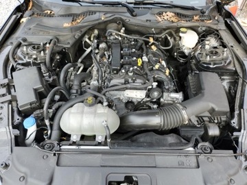 Ford Mustang VI 2023 Ford Mustang Ford Mustang EcoBoost, od ubezpieczalni 2.3 Benzyna 310KM, zdjęcie 10