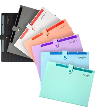 Папка для документов складная с 5 отделениями Biwuar