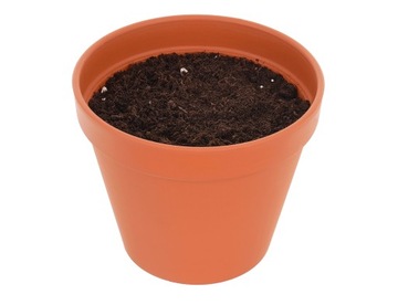 Подарок на День матери, дерево счастья, бонсай, подарок на День матери, роза