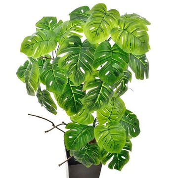 МОНСТЕРА РОДОДЕНДРОН ИСКУССТВЕННЫЕ ЦВЕТЫ ЦВЕТОЧНЫЙ ГОРШОК КОМПОЗИЦИЯ ЛИСТЬЯ ПОДАРОК