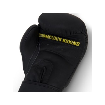 Боксерские перчатки StormCloud Boxing Pro, черные, 12 унций