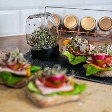 Семена проращивателя для рассады в банке 5 шт, микс