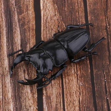 3D модель для детей для обучения в классе Интересно