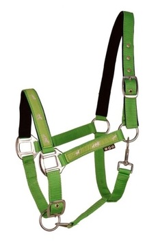 Kantar Api Active Horse zielony X-Full podszyty