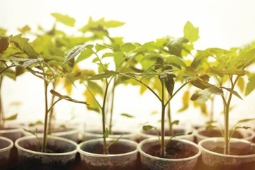 СВЕТОДИОДНАЯ ЛАМПОЧКА ДЛЯ ВЫРАЩИВАНИЯ РАСТЕНИЙ 5ВТ БЕЛАЯ